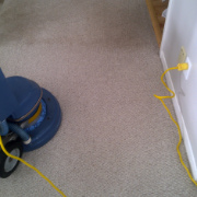 Carpet Cleaning