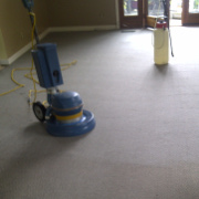 Carpet Cleaning