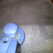 Carpet Cleaning