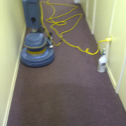 Carpet Cleaning